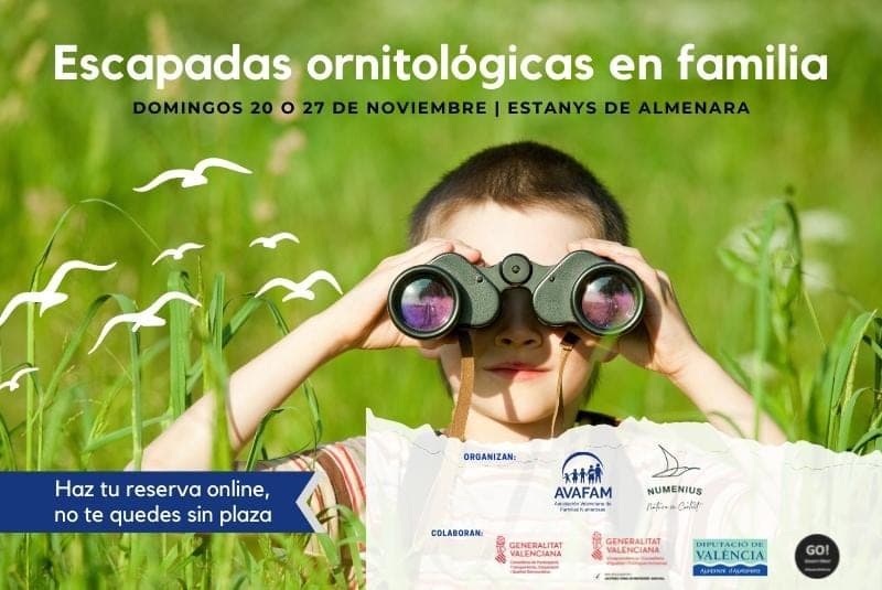 Escapadas ornitológicas en familia
