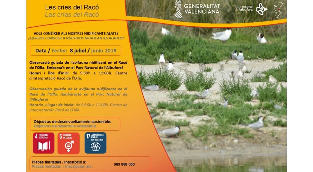 Jornada Familiar en el Racó de l’Olla