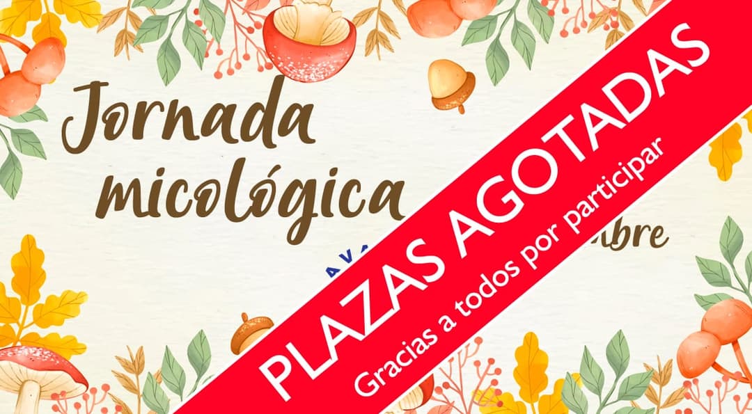 Jornada Micológica Familiar en Mora de Rubielos 2019