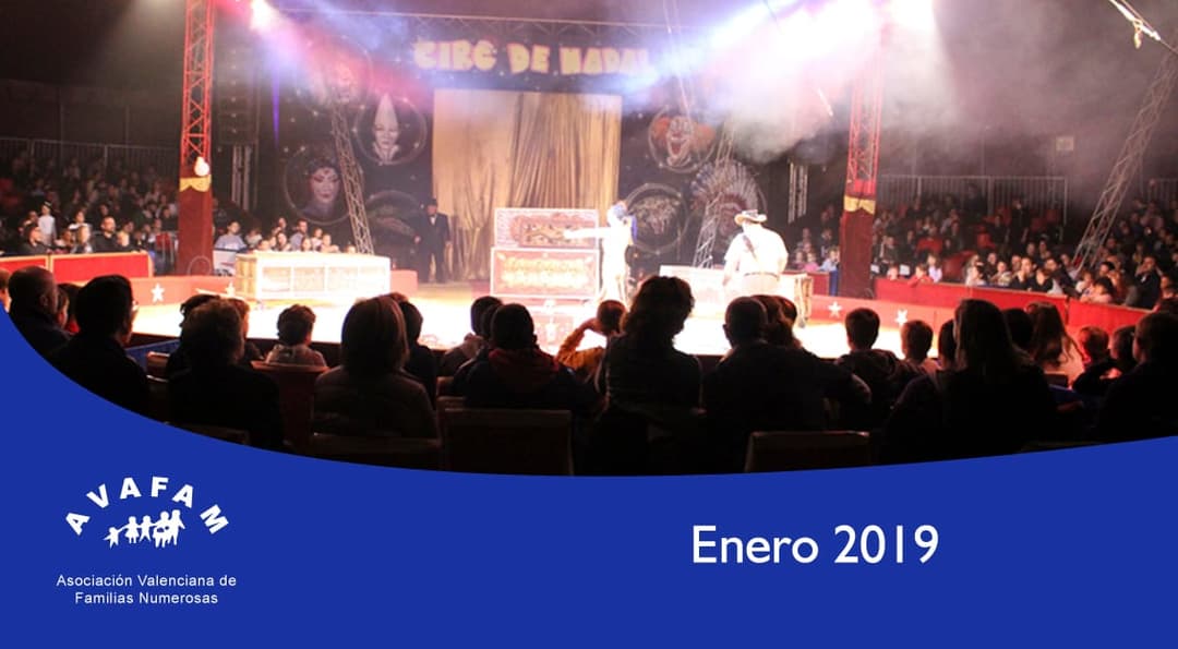 Boletín Enero ’19