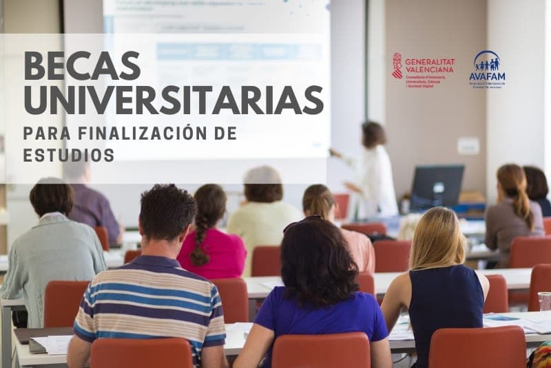 El Consell convoca becas de hasta 2.000 euros para facilitar al alumnado la finalización de sus estudios y evitar el abandono universitario en los últimos cursos
