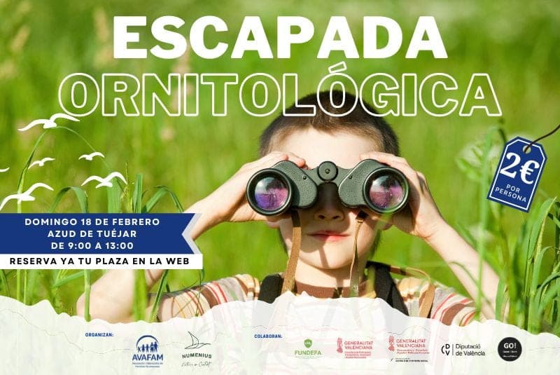 Escapada ornitológica al Azud de Tuéjar