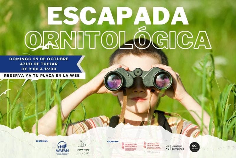 Escapada ornitológica al Azud de Tuéjar